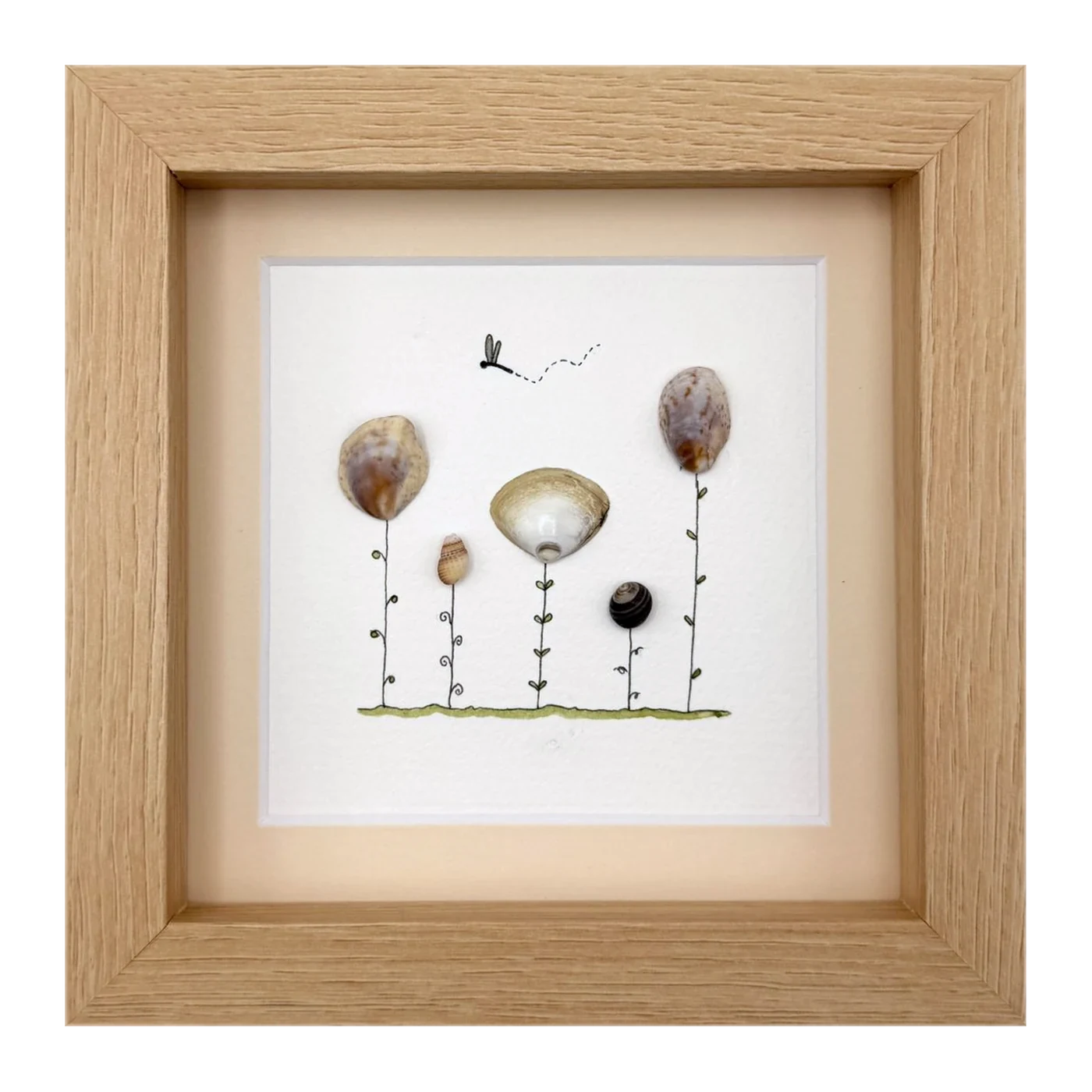 Shell flowers with a dragonfly